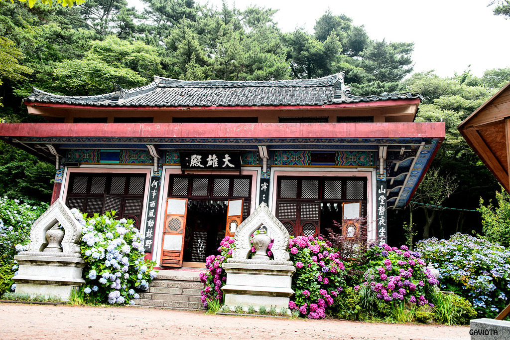 태흥사 이미지
