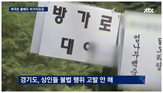 해외여행 늘어나는 이유 | 인스티즈