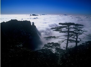 황산주 이미지