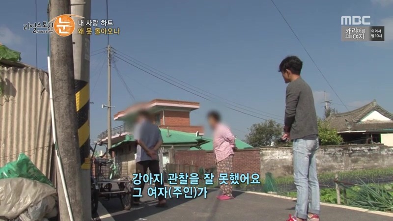 길가던 남의 애완견 때려죽여서 잡아먹은 사건 가해자들의 반응.jpg | 인스티즈