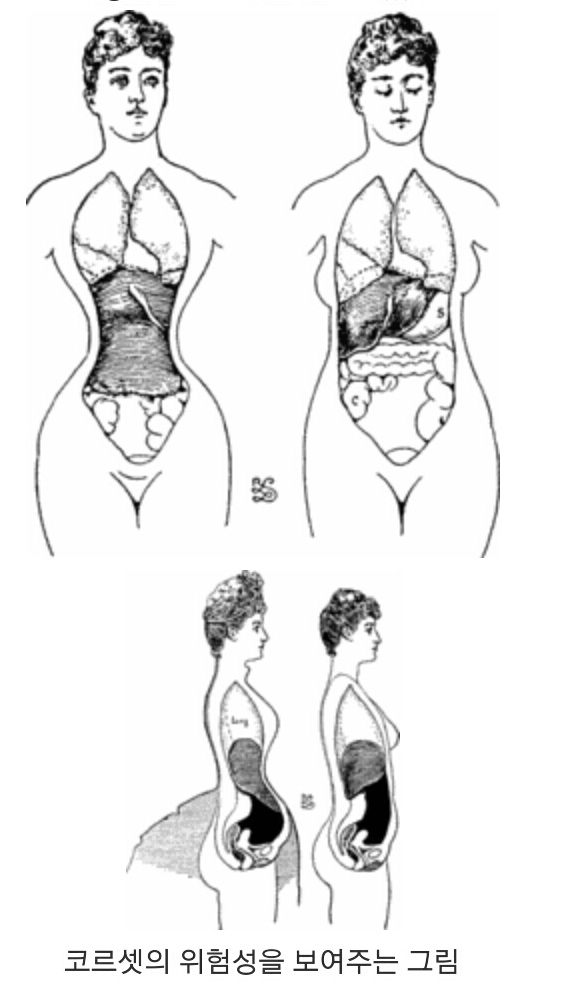 코르셋의 역사 | 인스티즈