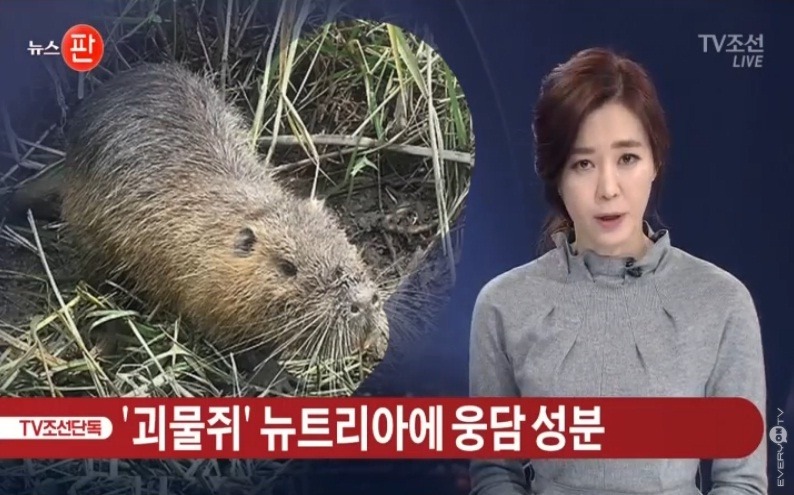 뉴트리아 ㅈ됨 | 인스티즈