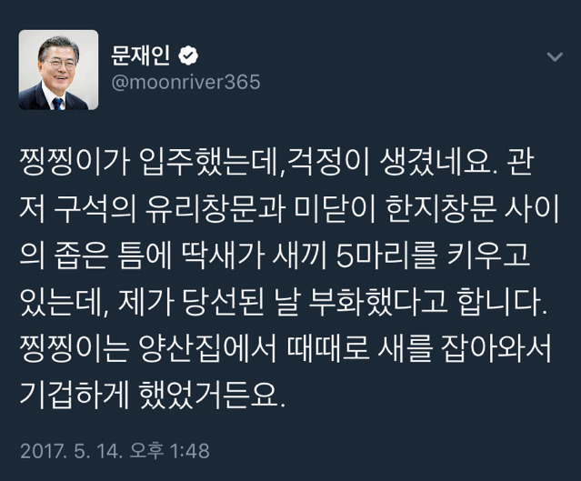 냥집사들 🐱 (사진 엄청많음 주의) | 인스티즈