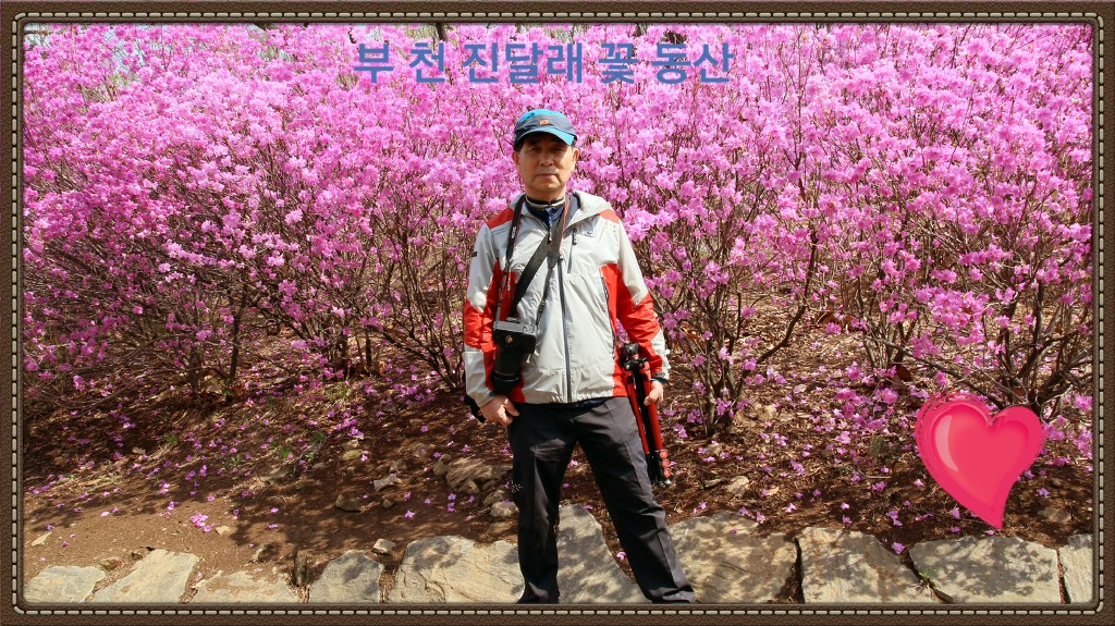 컴사랑 이미지