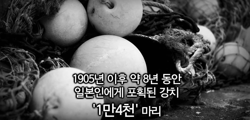 강치가 뭐게 | 인스티즈