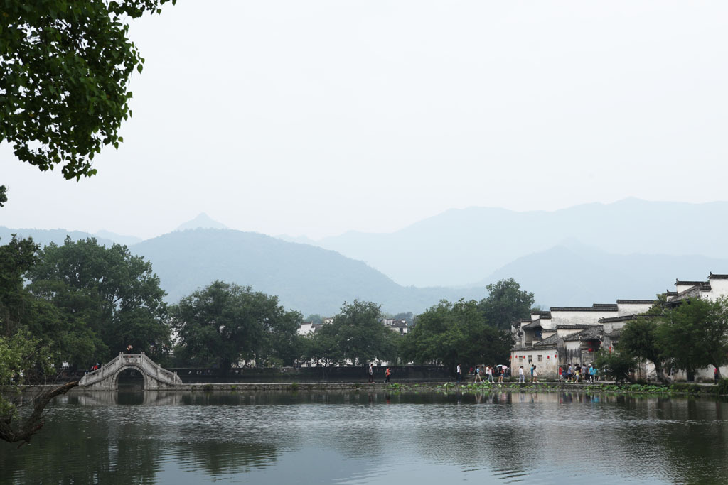 기송 이미지