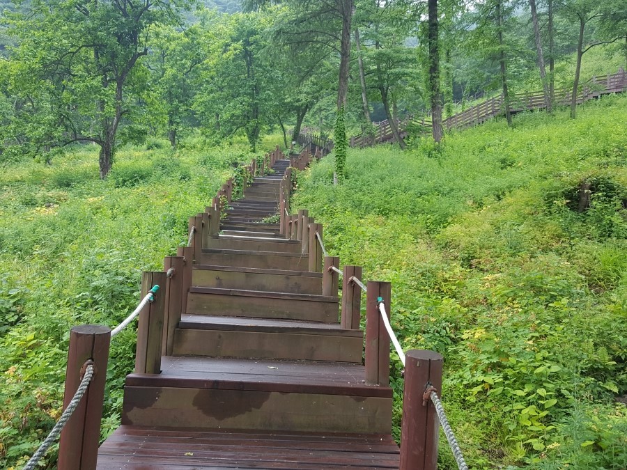 대아(주) 이미지