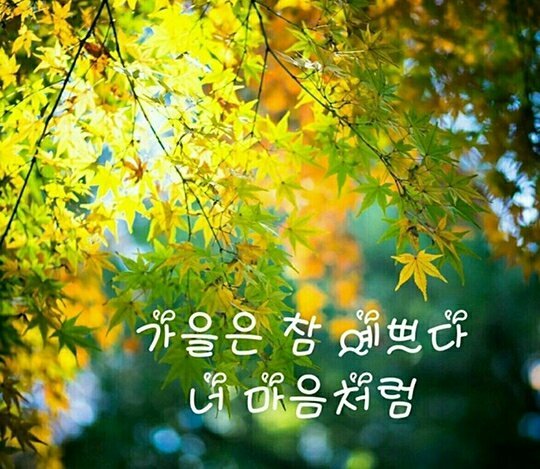 엉아네 이미지
