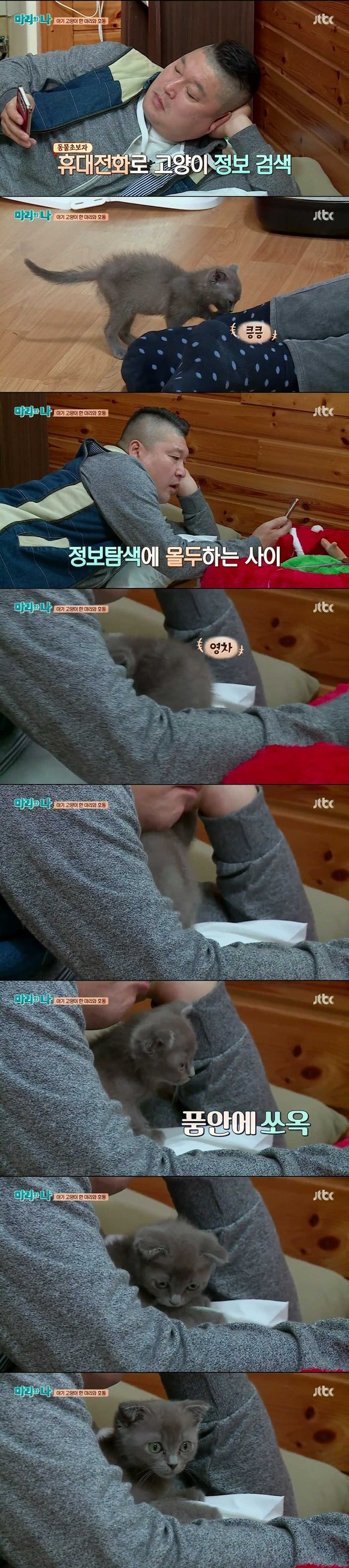 [마리와나] 케미가 냥냥 터지는 강호동과 새끼 고양이 토토.jpg | 인스티즈