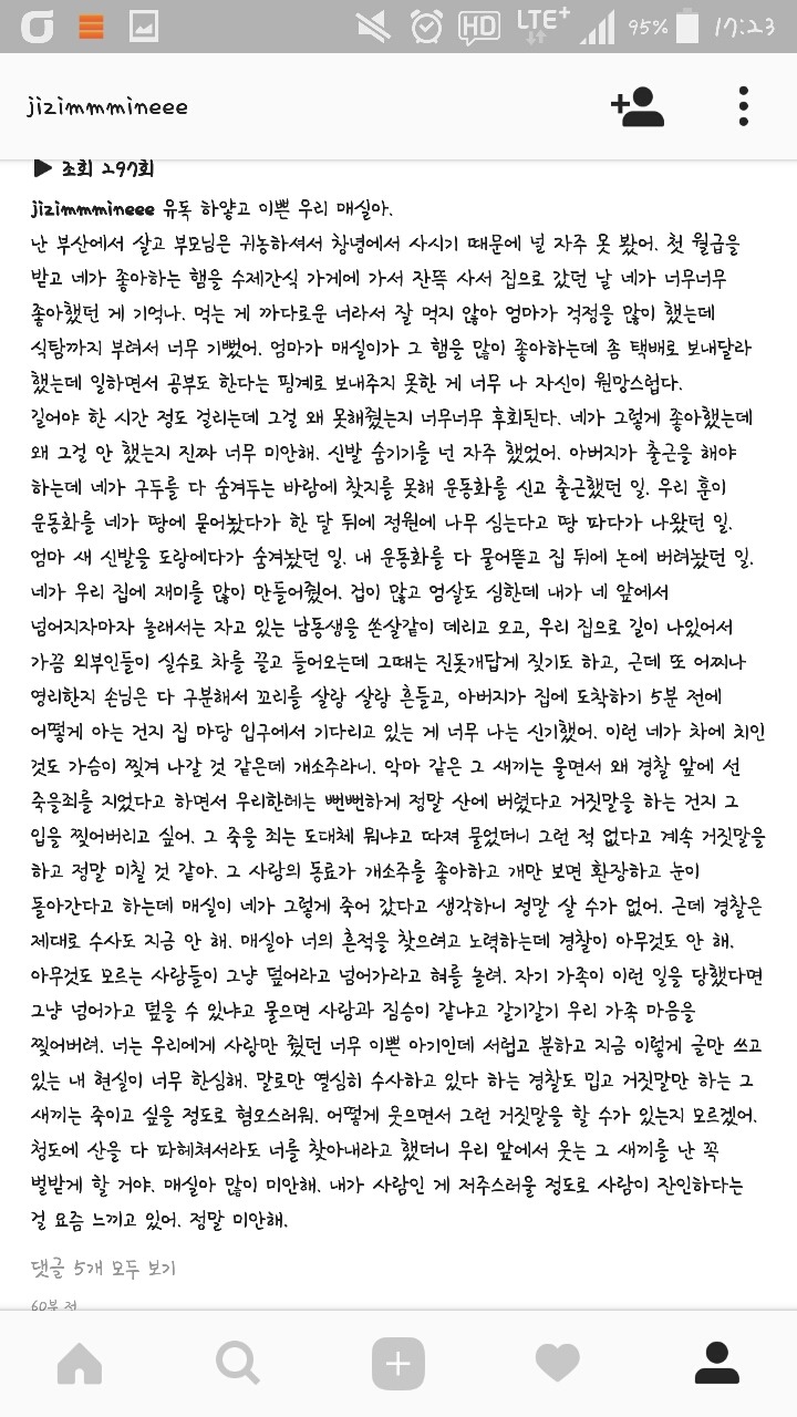 개소주로 만들어져버린 우리집 강아지 매실이를 도와주세요. 부탁드려요. 제발 퍼트려주세요 | 인스티즈
