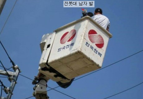 대구 전봇대 위에서 수면 취하는 남자.jpg | 인스티즈