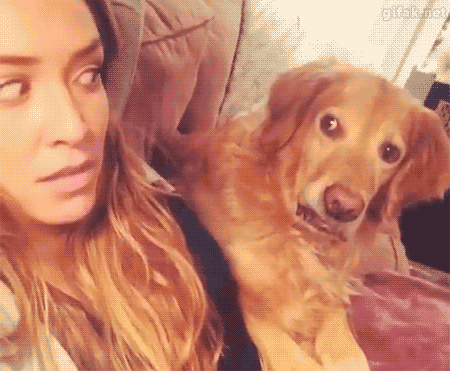 강아지의 눈빛.gif | 인스티즈