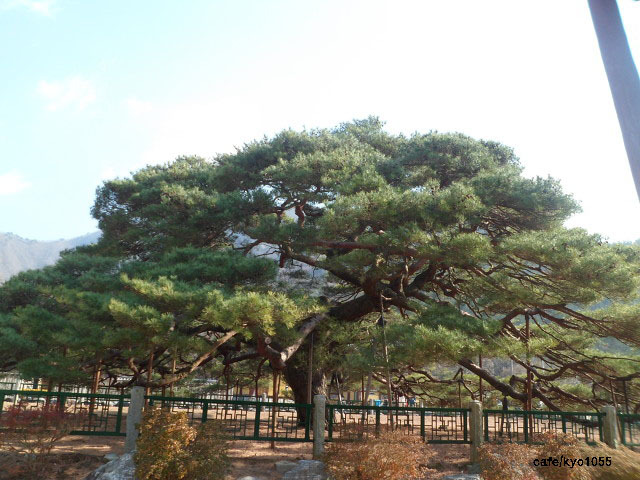 한우이야기 이미지