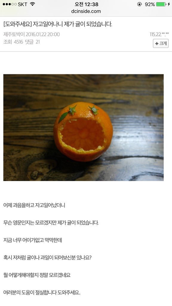 디시 허언증갤의 흔한 둔갑 | 인스티즈