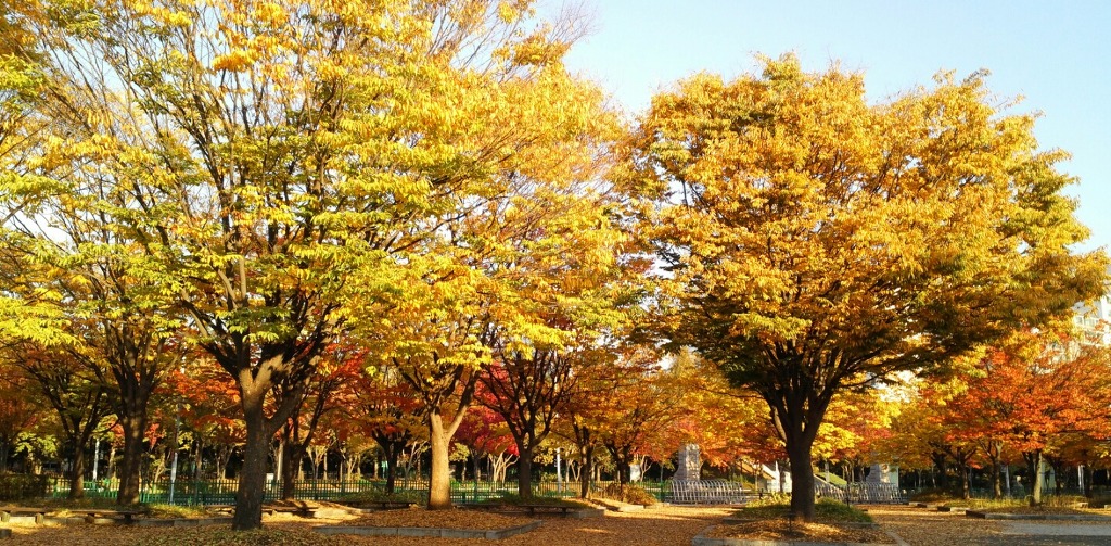 다니엘의친구 이미지