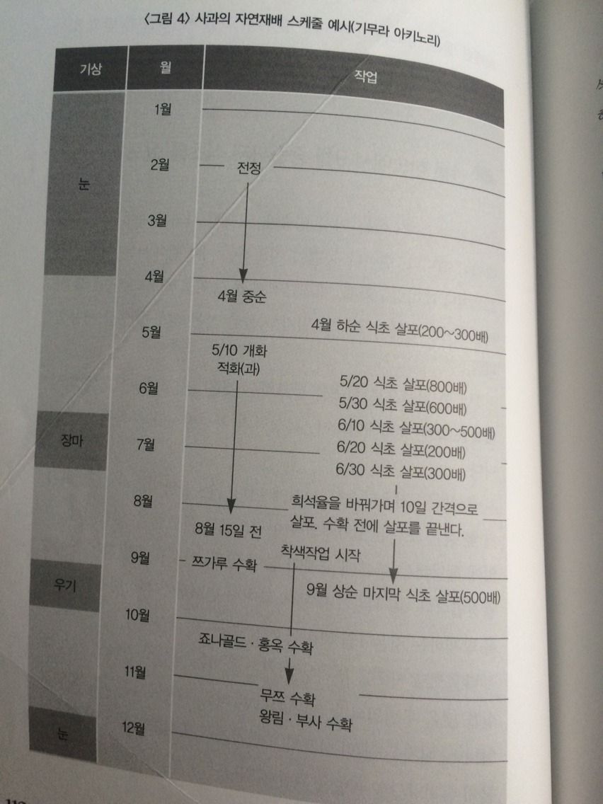 이진정형외과 이미지