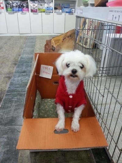 주인 이미지