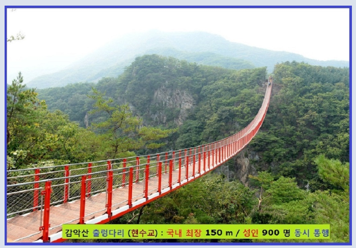 대진여행사 이미지