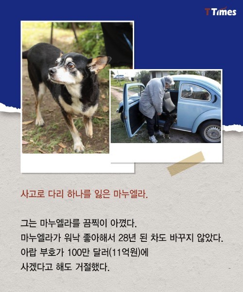 박근혜를 거쳐 간 강아지들 스토리 | 인스티즈
