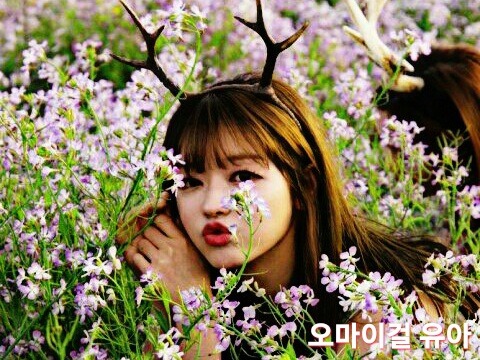 침수된 도로 지나가기... | 인스티즈