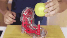 사과 깎는 기계.gif | 인스티즈