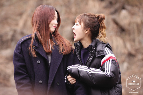 더21 이미지