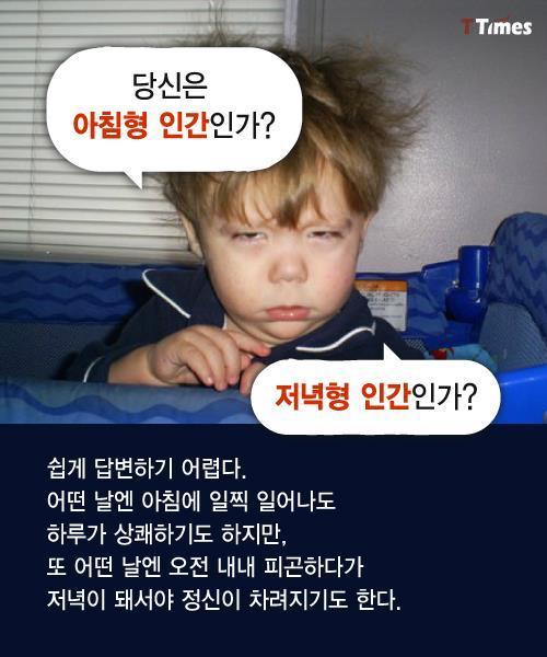 수면 패턴으로 알아보는 인간형 분류.jpg | 인스티즈