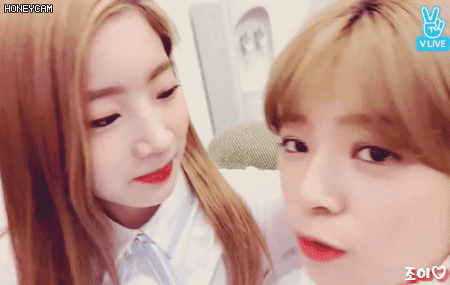 오늘자 커플미 낭낭한 트와이스 다현이랑 정연이.gif | 인스티즈