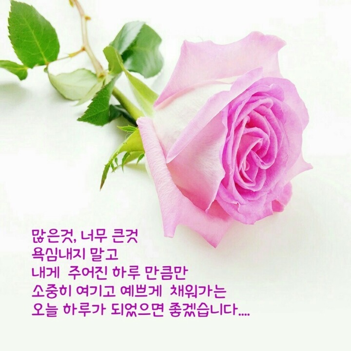 행복한날 이미지