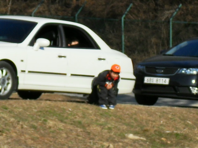 동유 이미지