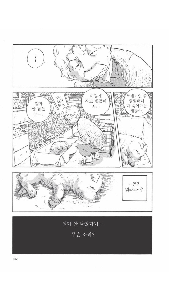 개를 주워오면 안되는 이유 | 인스티즈