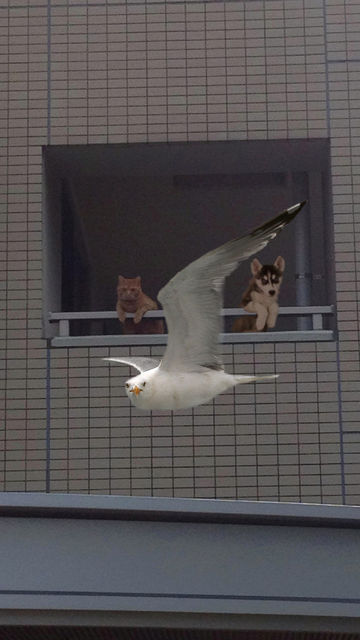 2666FF47561F65E329D389