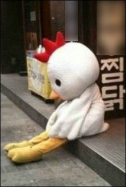 친구네 이미지