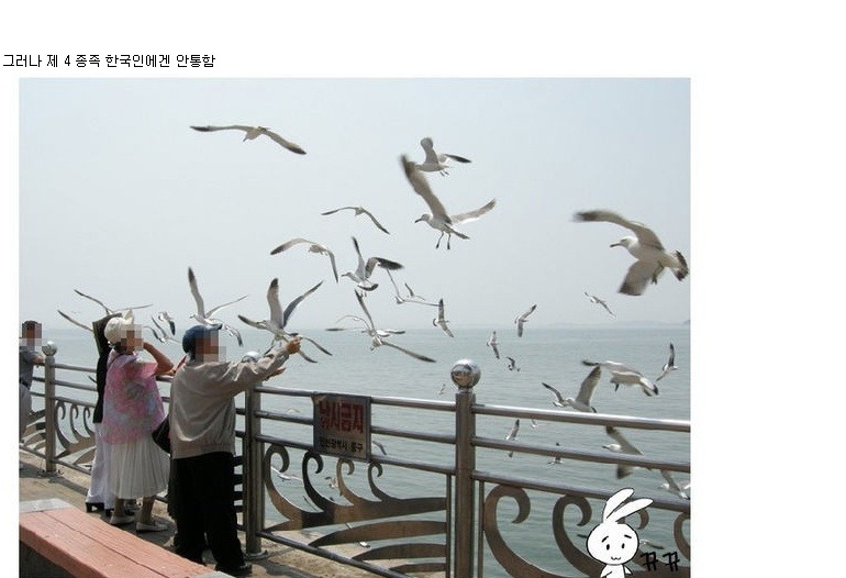 사람들 등는 갈메기 | 인스티즈