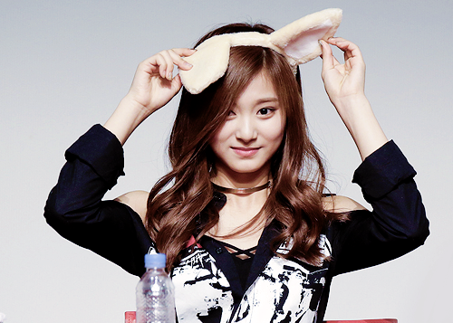 하루에 한번 쯔위 (데이터쯔위) | 인스티즈