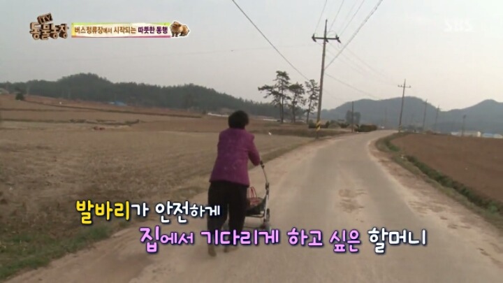 [동물농장] 할머니와 발바리의 따뜻한 우정 | 인스티즈