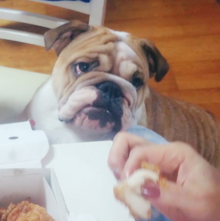 오드리 이미지