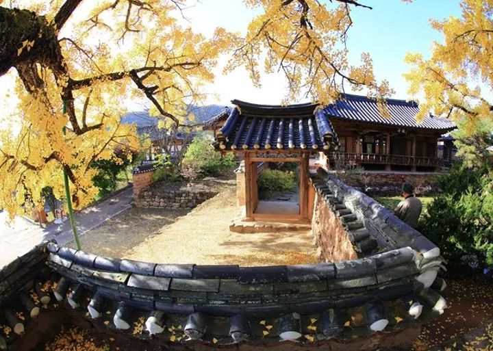 귀젤 이미지
