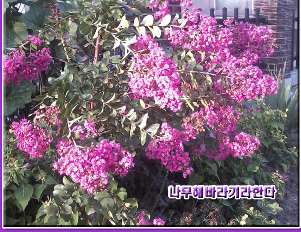 나의첫음악 이미지