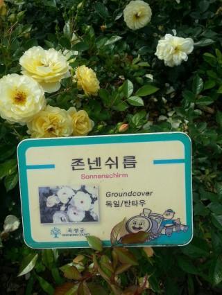 꽃;들때 이미지