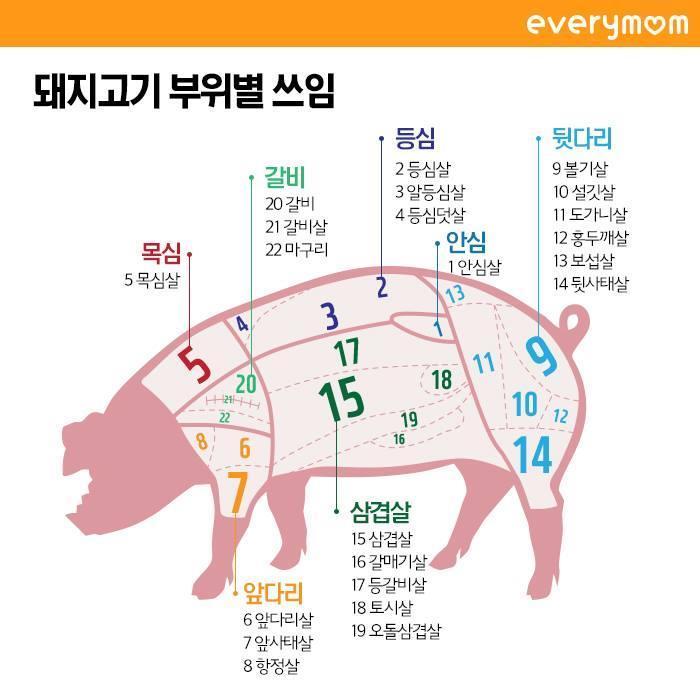 돼지고기의 모든 것 | 인스티즈