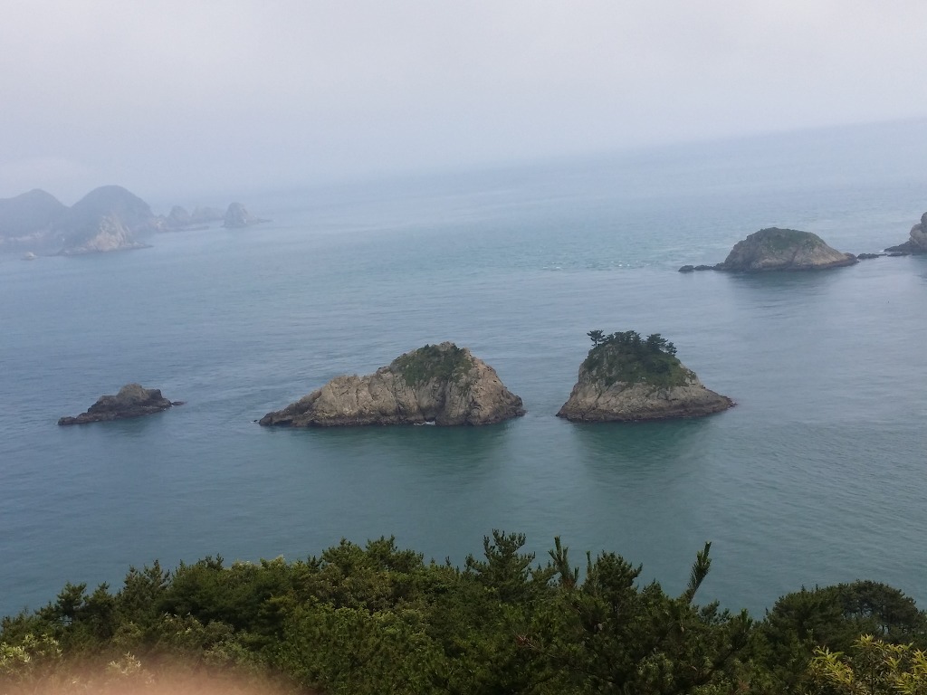 홍포 이미지