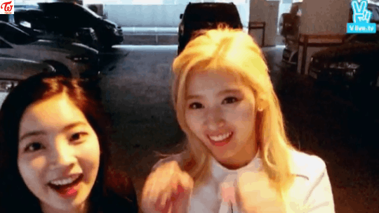 트와이스에서 시바견을 맡고있는 멤버.gif | 인스티즈