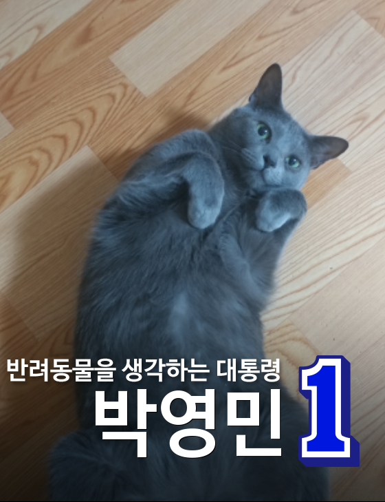기호1번 포스터 만들어보기 | 인스티즈
