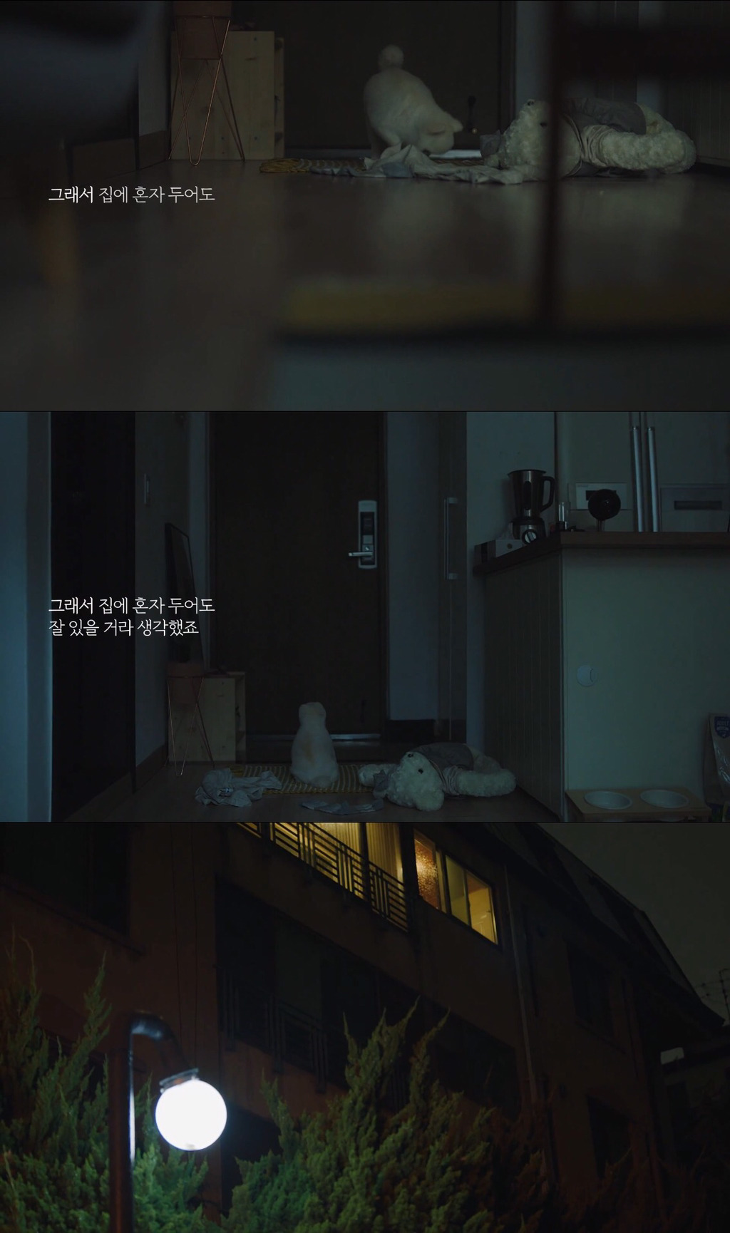 [눈물주의] 반려동물 반려인이라면 홀린듯 끝까지 보게 되는 유튜브 광고 | 인스티즈