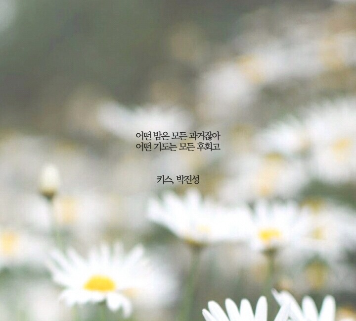  네 안에서 부는 바람에 너는 너무 오래 흔들린다 | 인스티즈