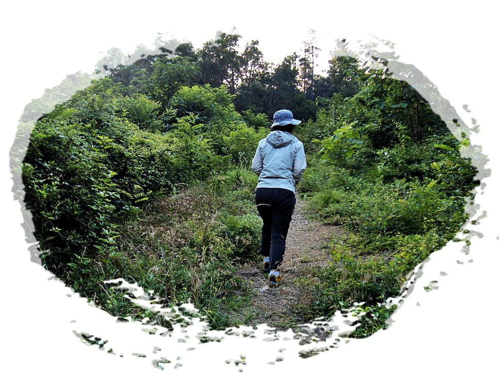 모졸제 이미지