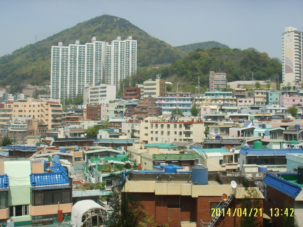 아미초등학교 이미지