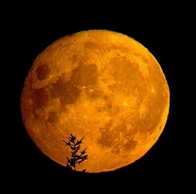 빛고운 이미지