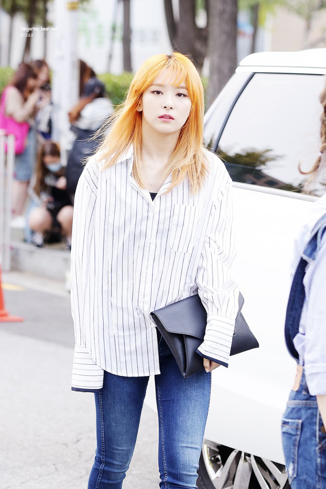 귤곰 이미지